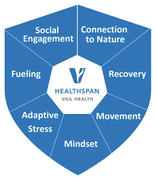 Seven Shields of Healthspan - draft